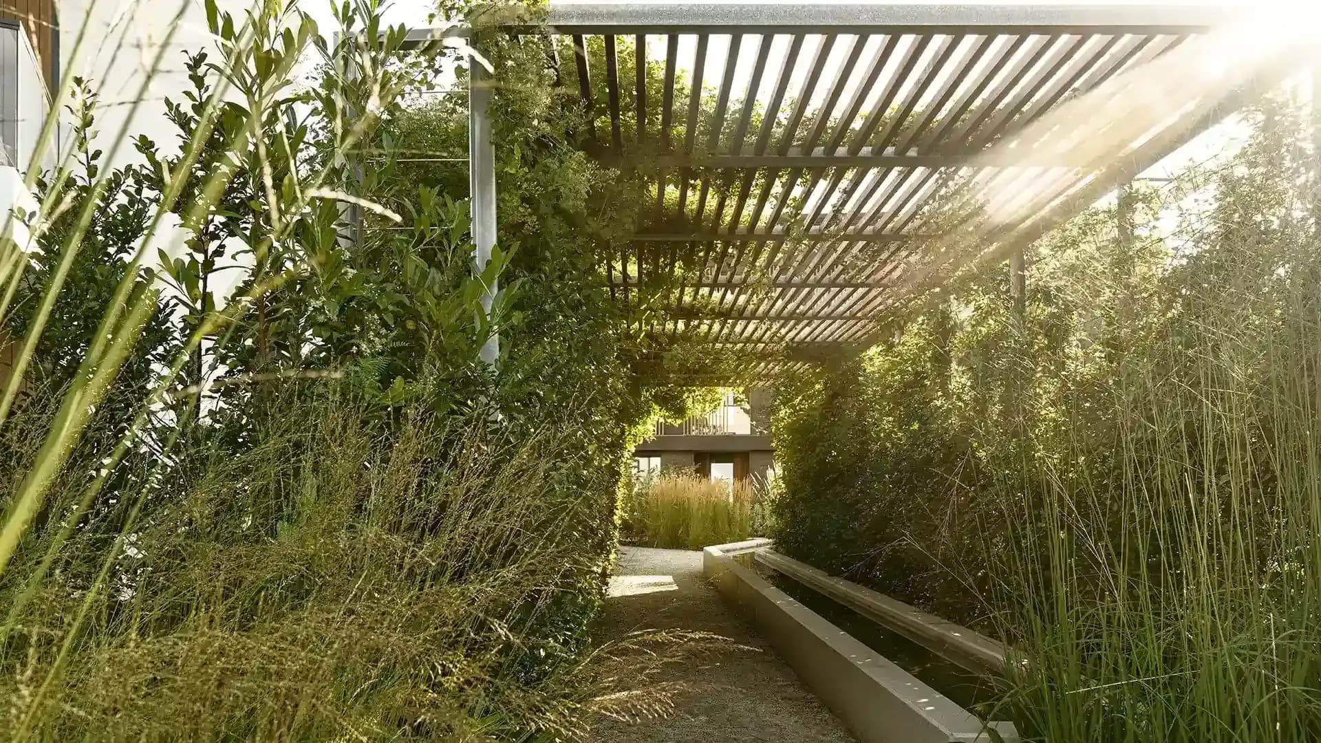 Botanica Gdańsk - ARCHITEKTURA