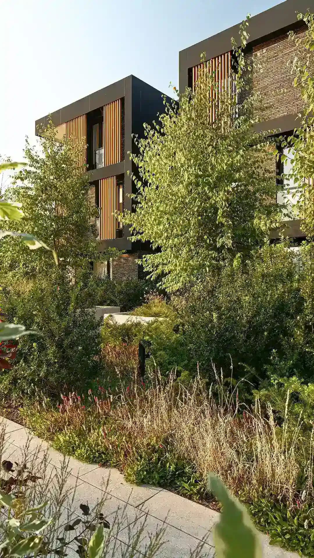 Botanica Gdańsk - ARCHITEKTURA